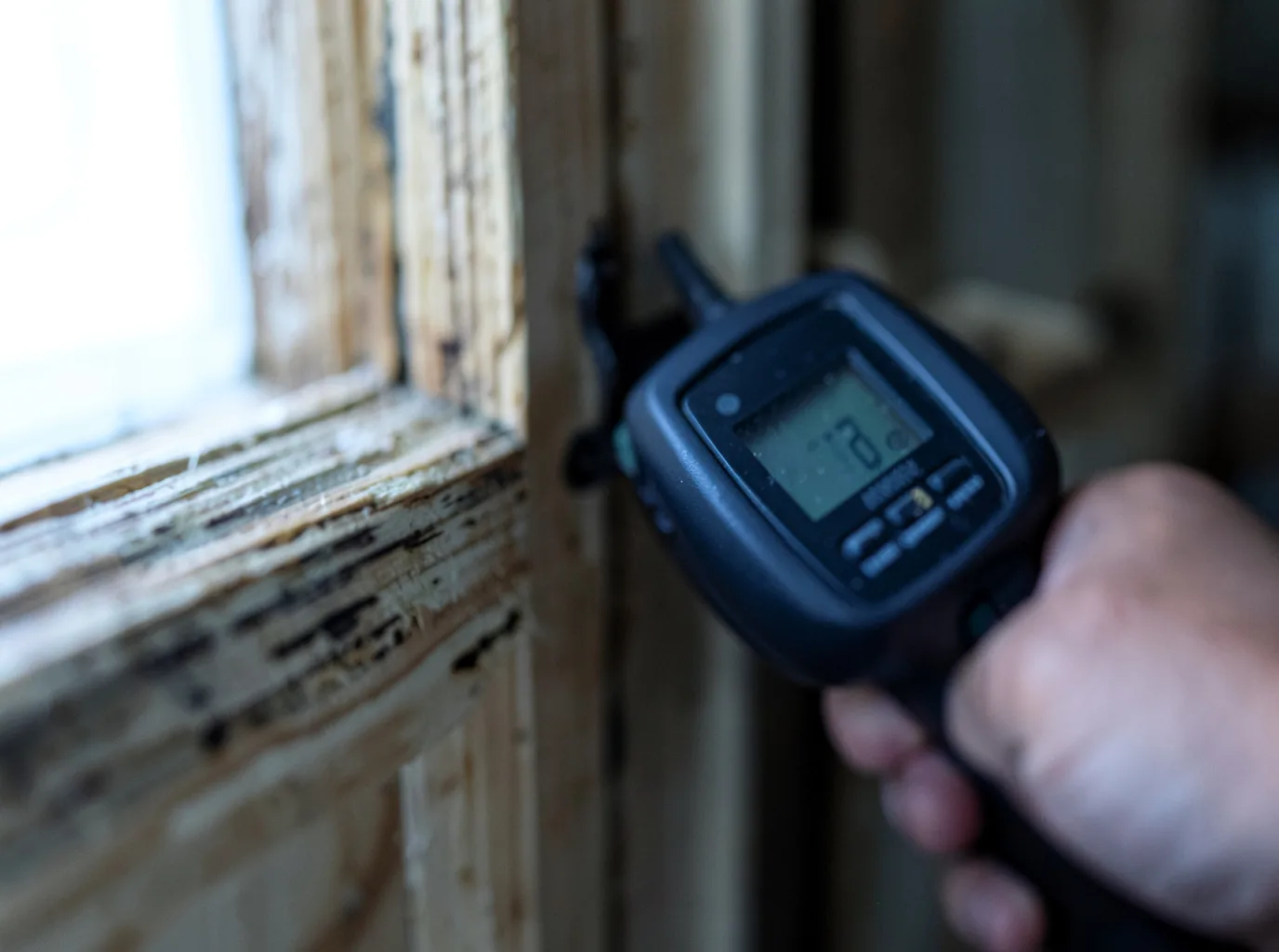 Moisture Inspection And Documentation in Wildwood, MO